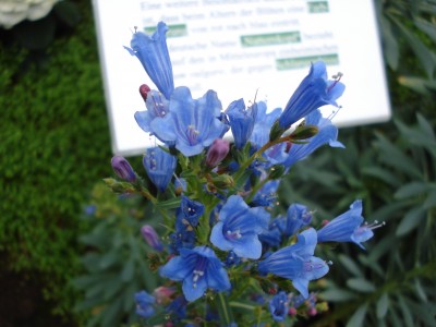 April 2008 073.jpg