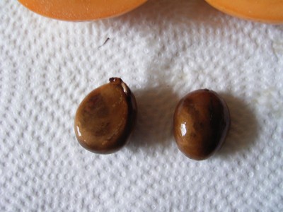 RIMG0137.JPG