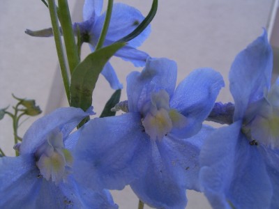 s-25.05.05 014.jpg