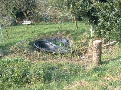 Teichbecken.jpg