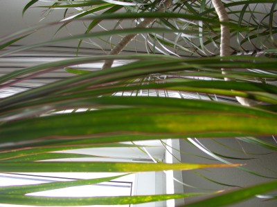 DSCN3248.JPG