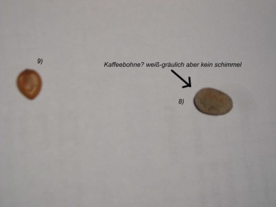 P1010152.JPG