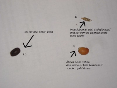 P1010153.JPG