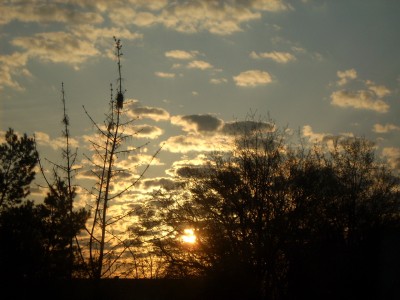 Sonnenaufgang.JPG