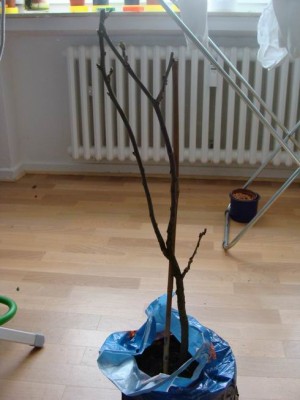 Meine Bilder 496a.jpg