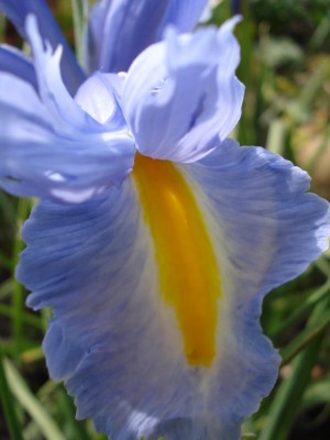 April 2008 140.jpg