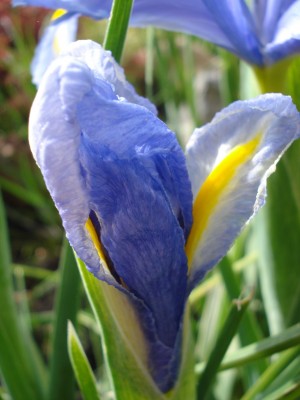 April 2008 141.jpg