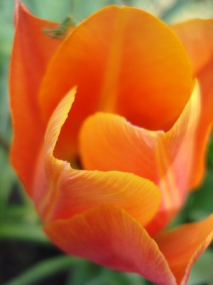 April 2008 139.jpg