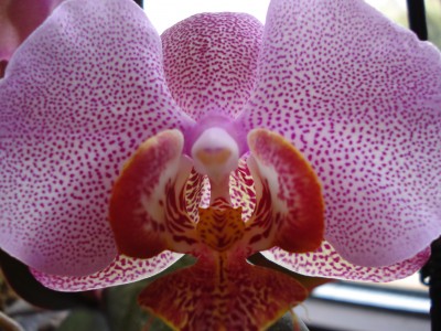 April 2008 143.jpg