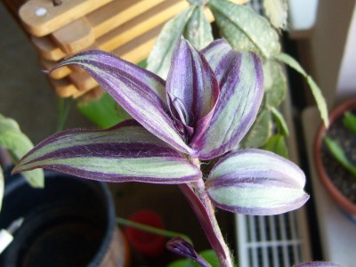 DSCI0012 - Kopie.JPG