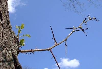 24.04.2008 14.30.jpg