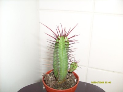 S7300236.JPG