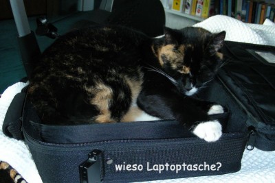 Schlafplatz Laptoptasche w.jpg
