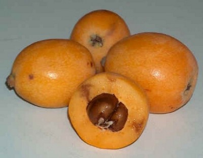 nespole2.jpg
