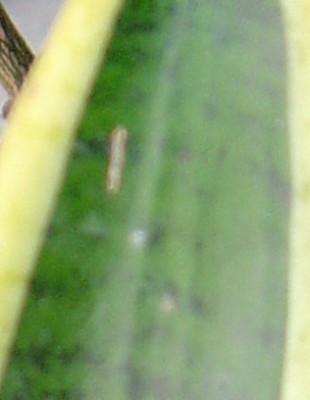 Untitled-2 copy.jpg