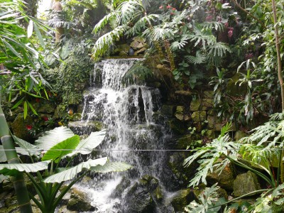 Wasserfall.jpg