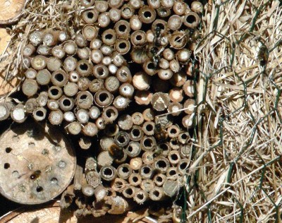 Bienenhotel 3 w.jpg