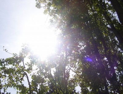 balkon 022m.jpg