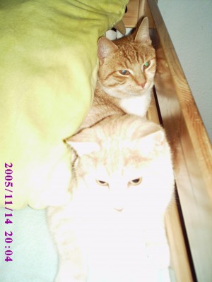 Bild 058.jpg