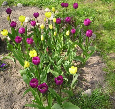 27.04.2008 (13)_01.jpg