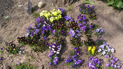 27.04.2008 (12)_01.jpg
