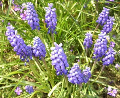 CIMG2790 - Kopie.JPG