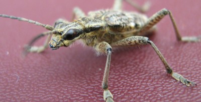 IMG_2147.jpg