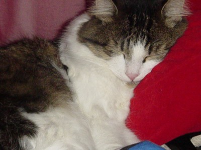 Shiwa Sept04-13.JPG