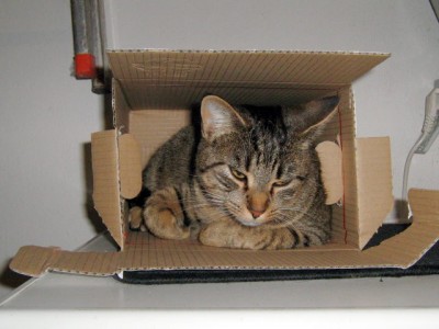 Living in a box....JPG