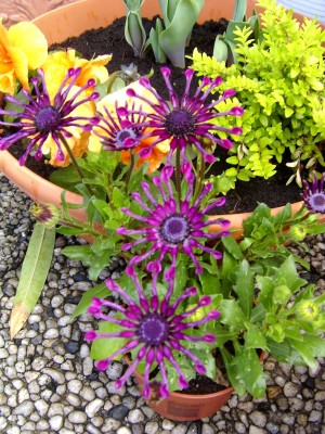 29.04.08.JPG