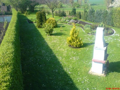 an der Hecke.JPG