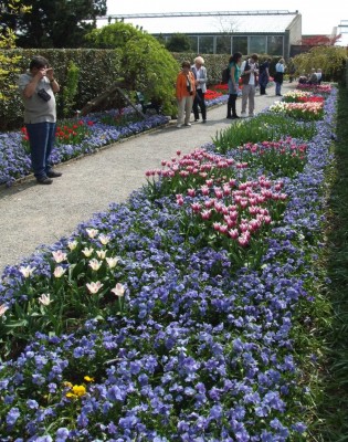 DSCF2612.JPG