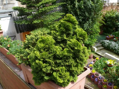 Neu 006.jpg