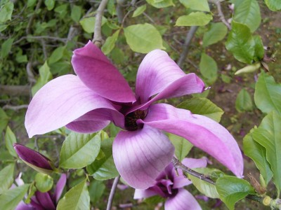 RIMG0171.JPG
