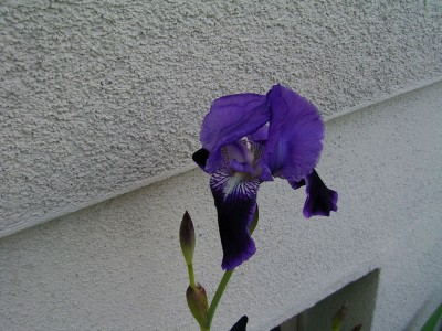 RIMG0154.JPG