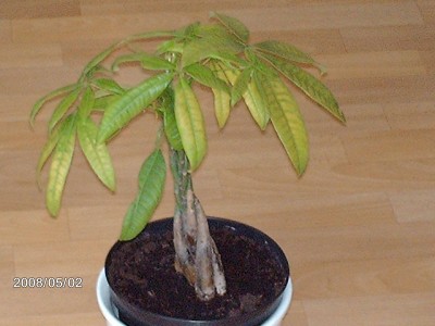 Bild 149.jpg