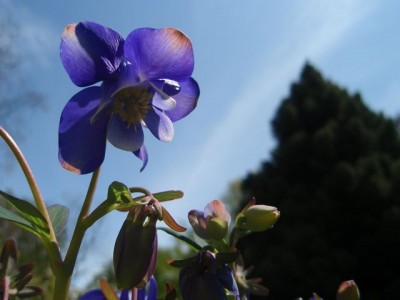 blueeee1.jpg