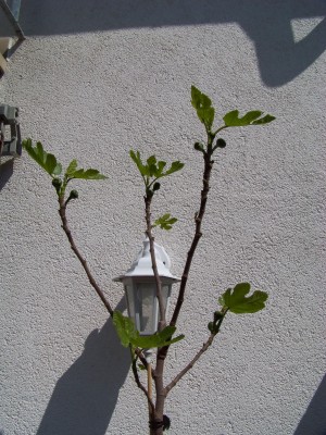 100_0794.JPG