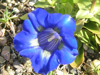 Flottbeck 056.JPG