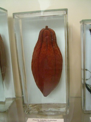 Flottbeck 083.JPG