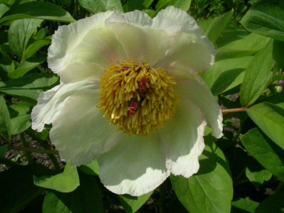Flottbeck 010.JPG
