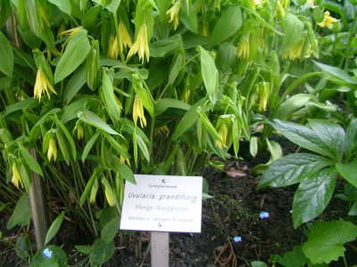 Flottbeck 005.JPG