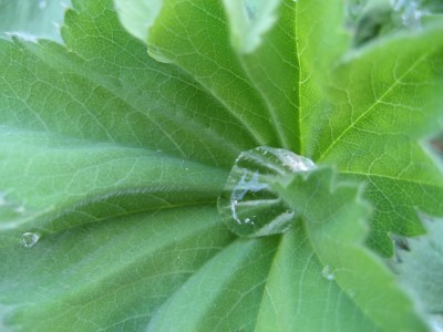 wassertropfen 2.JPG