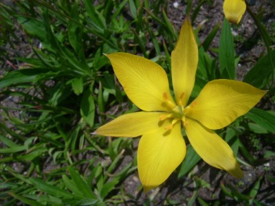 Green 044.jpg