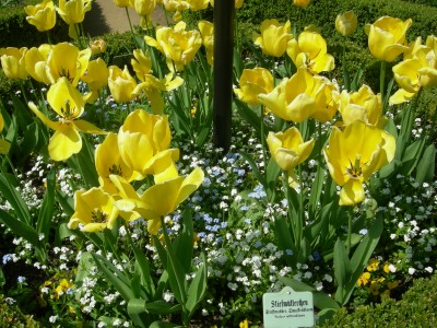DSCN5001.JPG