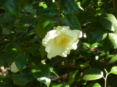 DSCN5013.JPG