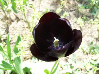 100_3508.JPG