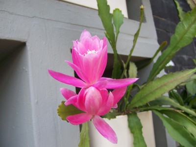 100_3543.JPG