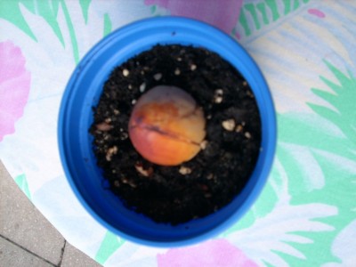 Der brauch noch eine Zeit.jpg