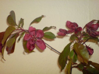 DSC00020.JPG